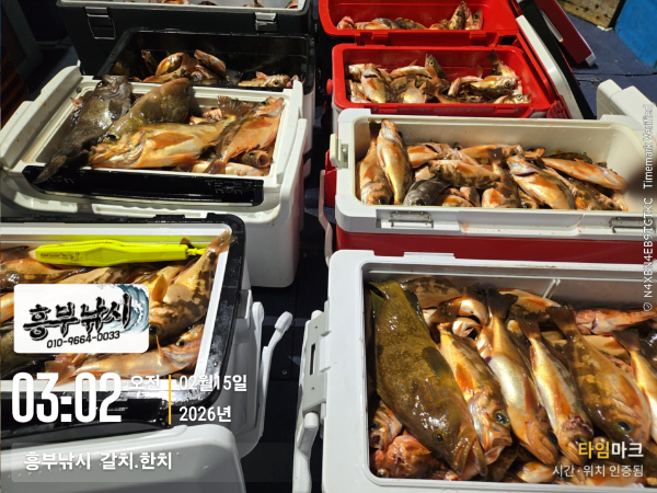 2026-02-15 03.02.33__(-흥부낚시  갈치.한치).jpg