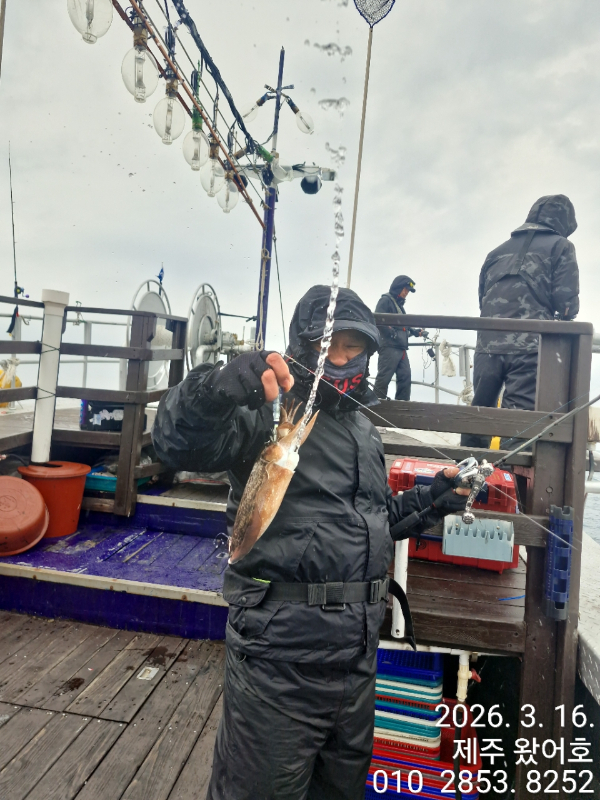 제주왔어호_사진_20260317_22.jpg