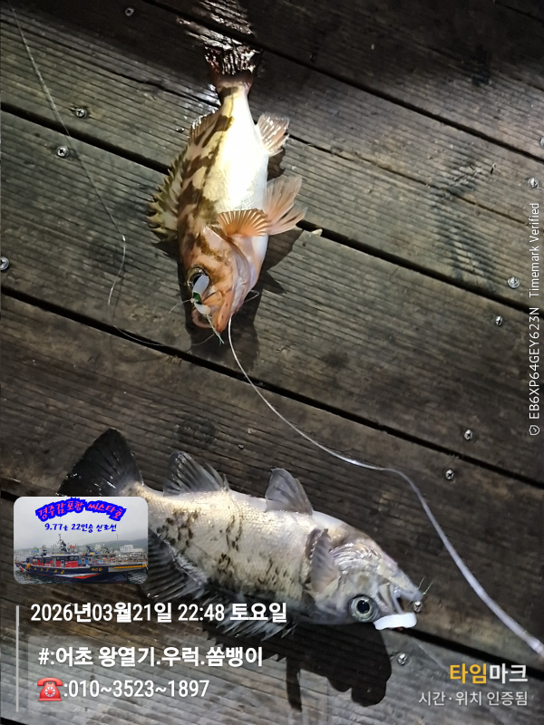 2026-03-21 22.48.37__(#-어초 왕열기.우럭.쏨뱅이)_(-010~3523~1897).jpg