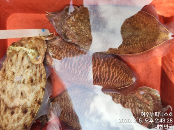 3월5일심해갑 (20).jpg