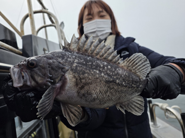 군산 선상낚시, 바다낚시 출조 전문 ☆서군산낚시☆_사진_20260328_1.jpg