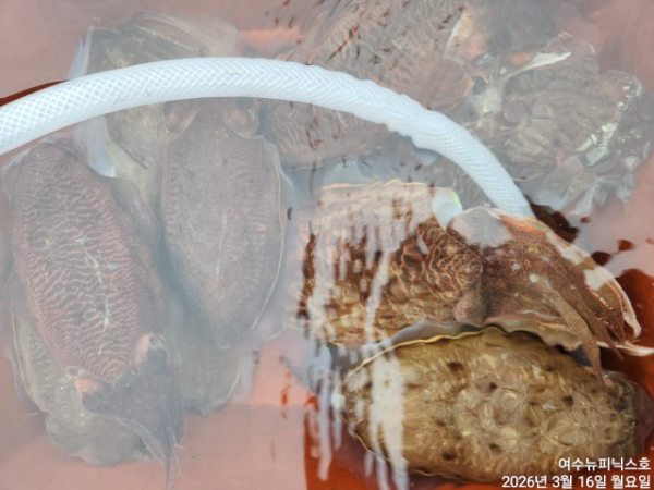 3월16일심해갑 (15).jpg