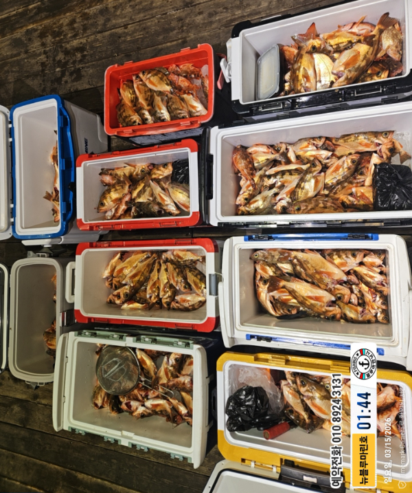 2026-03-15 01.44.32__(제목-뉴블루마린호)_(예약전화 010 8924 3131).jpg