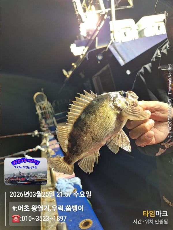 2026-03-25 21.57.40__(#-어초 왕열기.우럭.쏨뱅이)_(-010~3523~1897).jpg