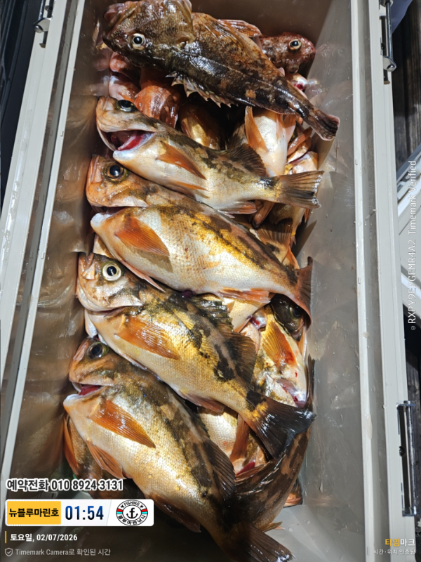 2026-02-07 01.54.03__(제목-뉴블루마린호)_(예약전화 010 8924 3131).jpg