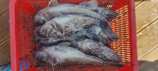 안산 포세이돈호_사진_20260314_17.jpg