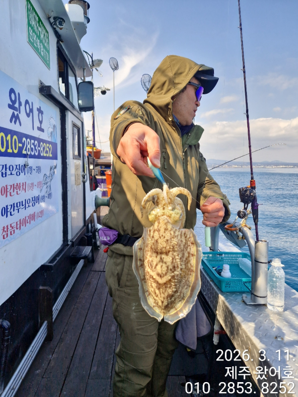 제주왔어호_사진_20260312_26.jpg