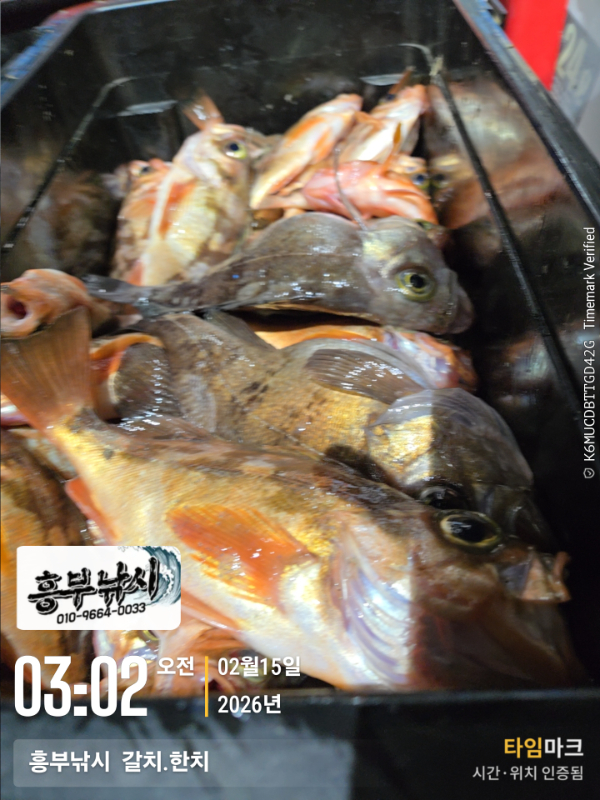 2026-02-15 03.02.12__(-흥부낚시  갈치.한치).jpg