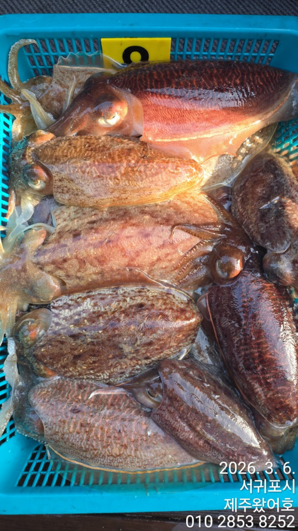 제주왔어호_사진_20260307_4.jpg
