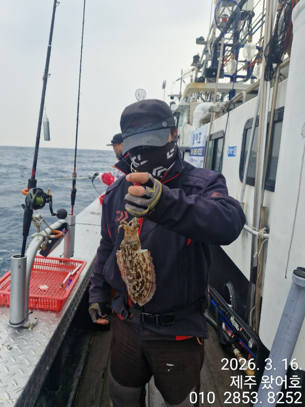 제주왔어호_사진_20260317_26.jpg