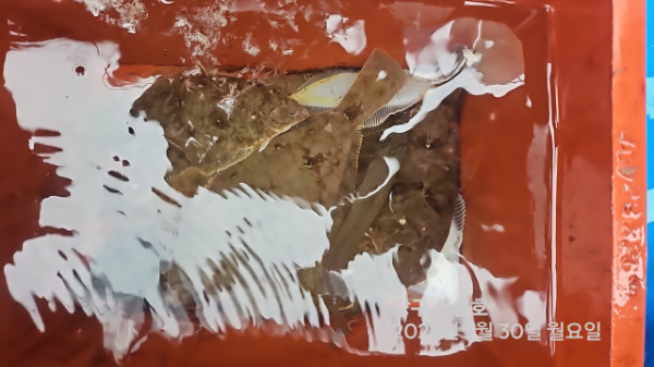 신신낚시 강구점 신신호_사진_20260330_8.jpg