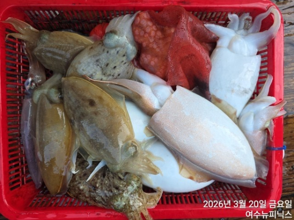 3월20일심해갑 (41).jpg