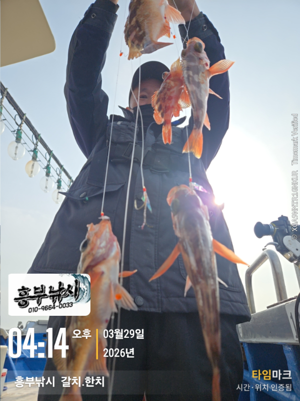 2026-03-29 04.14.35(1)__(-흥부낚시  갈치.한치).jpg