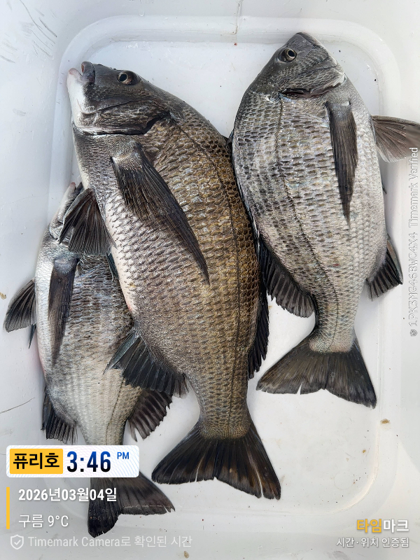 2026-03-04 15.46.54_(제목-퓨리호).jpeg