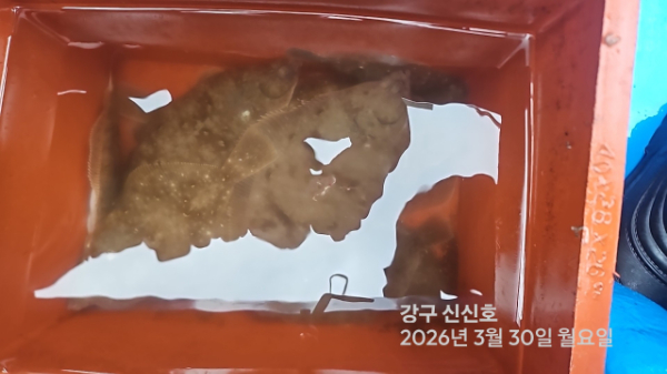 신신낚시 강구점 신신호_사진_20260330_19.jpg