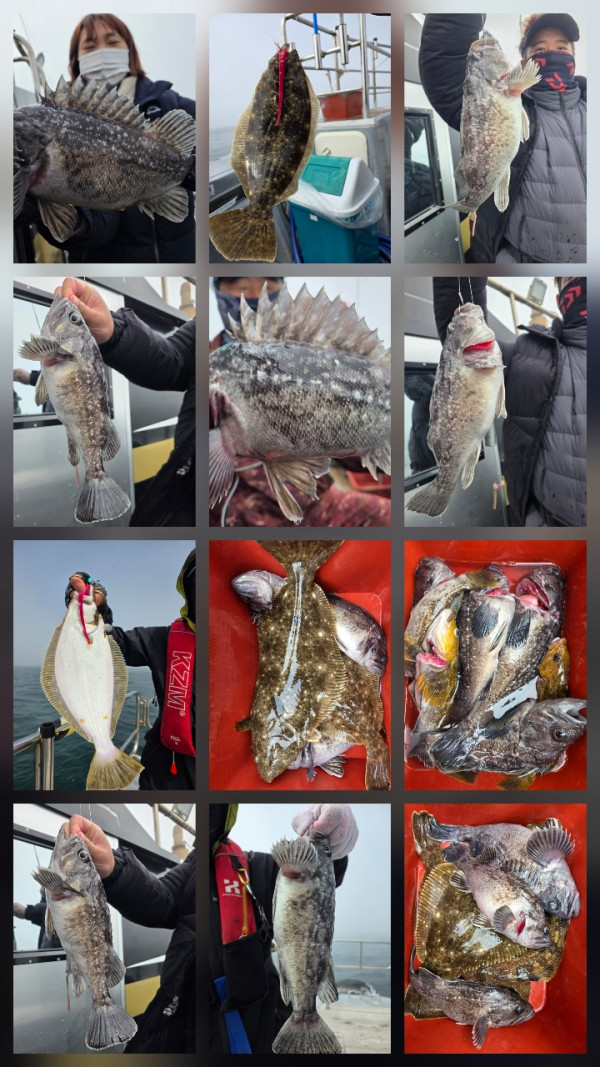 군산 선상낚시, 바다낚시 출조 전문 ☆서군산낚시☆_사진_20260328_15.jpg