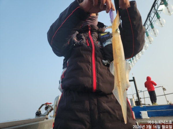 3월16일심해갑 (41).jpg