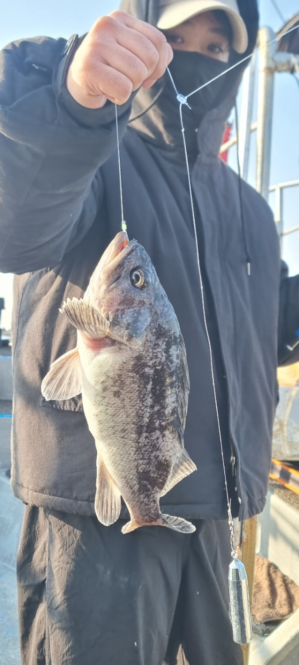 안산 포세이돈호_사진_20260314_4.jpg