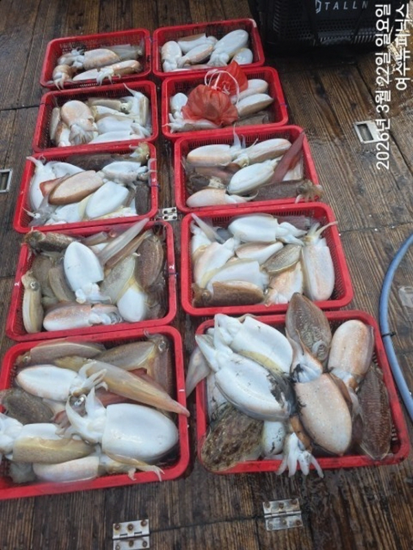 2093월22일심해갑 (36)-vert.jpg