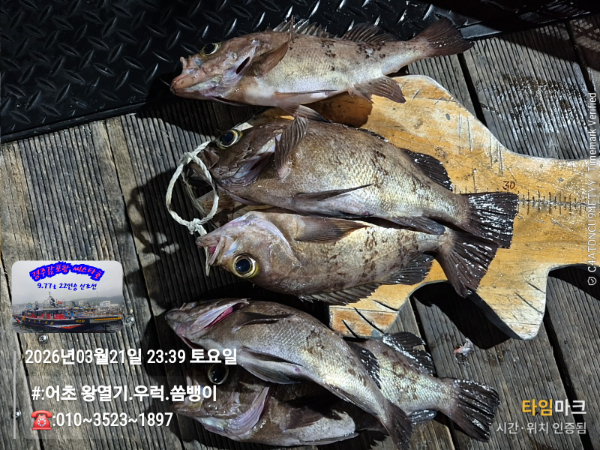 2026-03-21 23.39.04__(#-어초 왕열기.우럭.쏨뱅이)_(-010~3523~1897).jpg