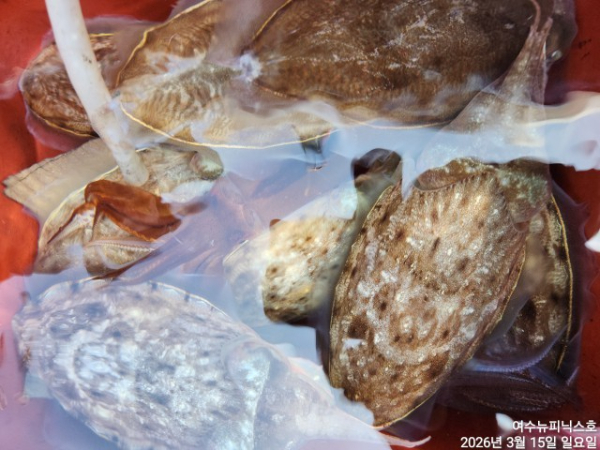 3월15일심해갑 (25).jpg