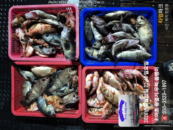 2026-03-22 22.43.28__(#-어초 왕열기.우럭.쏨뱅이)_(-010~3523~1897).jpg