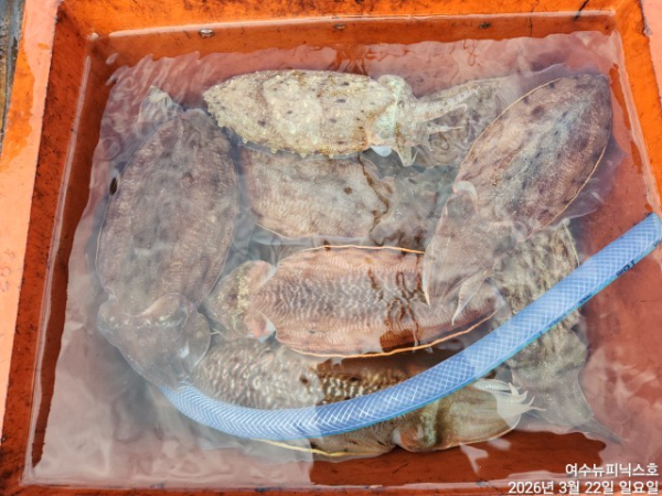 3월22일심해갑 (26).jpg