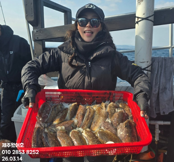 제주왔어호_사진_20260315_1.jpg