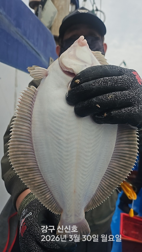 신신낚시 강구점 신신호_사진_20260330_2.jpg