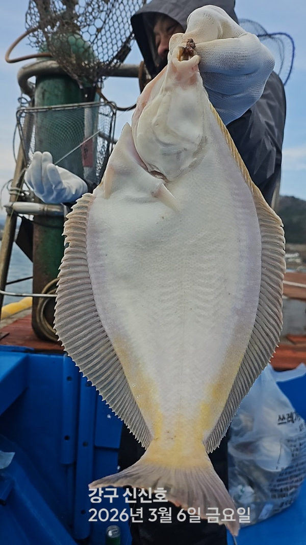 신신낚시 강구점 신신호_사진_20260306_8.jpg
