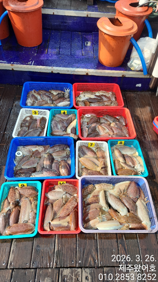 제주왔어호_사진_20260327_1.jpg