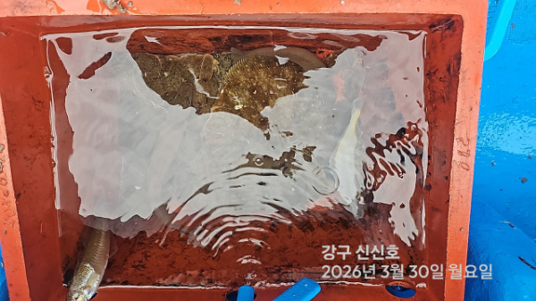 신신낚시 강구점 신신호_사진_20260330_13.jpg