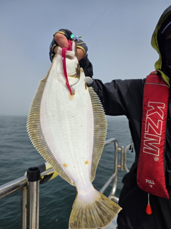 군산 선상낚시, 바다낚시 출조 전문 ☆서군산낚시☆_사진_20260328_5.jpg