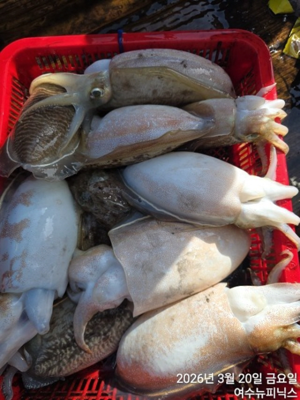 2093월20일심해갑 (13).jpg