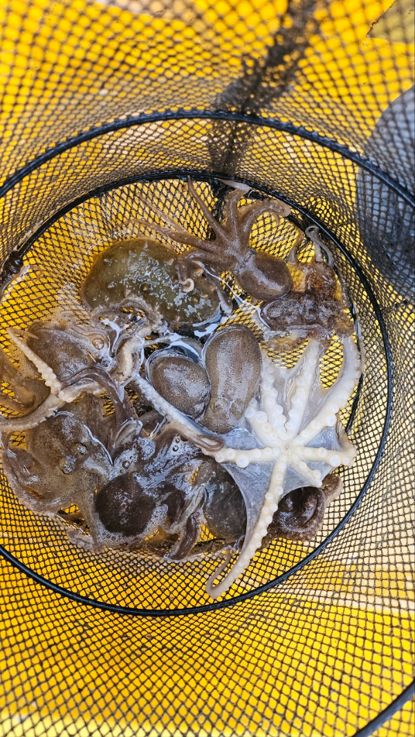 오천항 가즈아호_사진_20260330_14.jpg