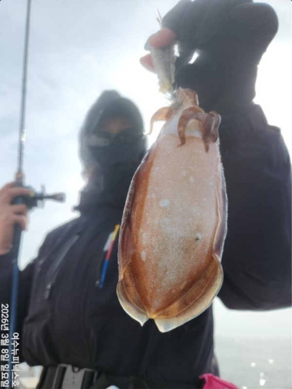 3월8일갑이한치 (1).jpg