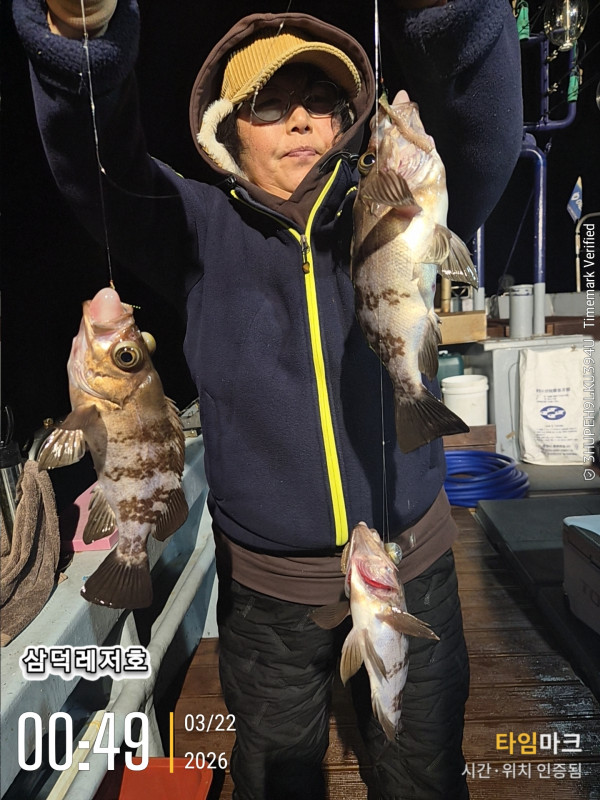 2026-03-22 00.49.33_.jpg