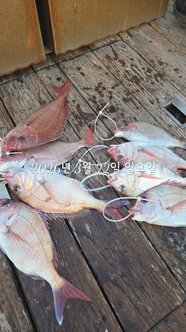 1004피싱_사진_20260322_7.jpg