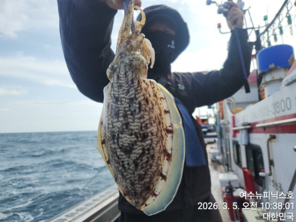 3월5일심해갑 (42).jpg