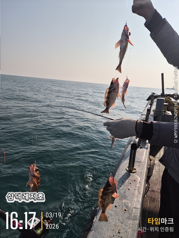 2026-03-19 16.17.55_.jpg