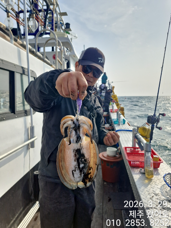 제주왔어호_사진_20260329_22.jpg