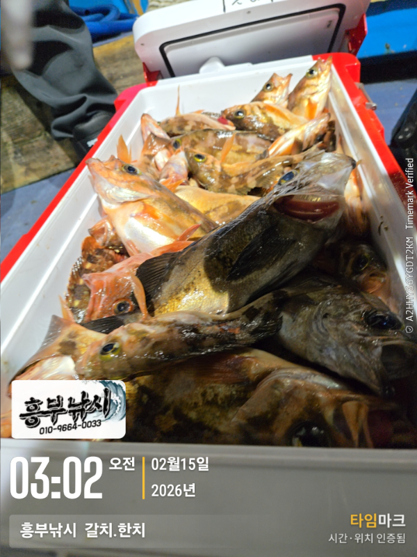 2026-02-15 03.02.16__(-흥부낚시  갈치.한치).jpg