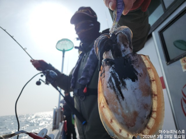 3월28일심해갑 (13).jpg