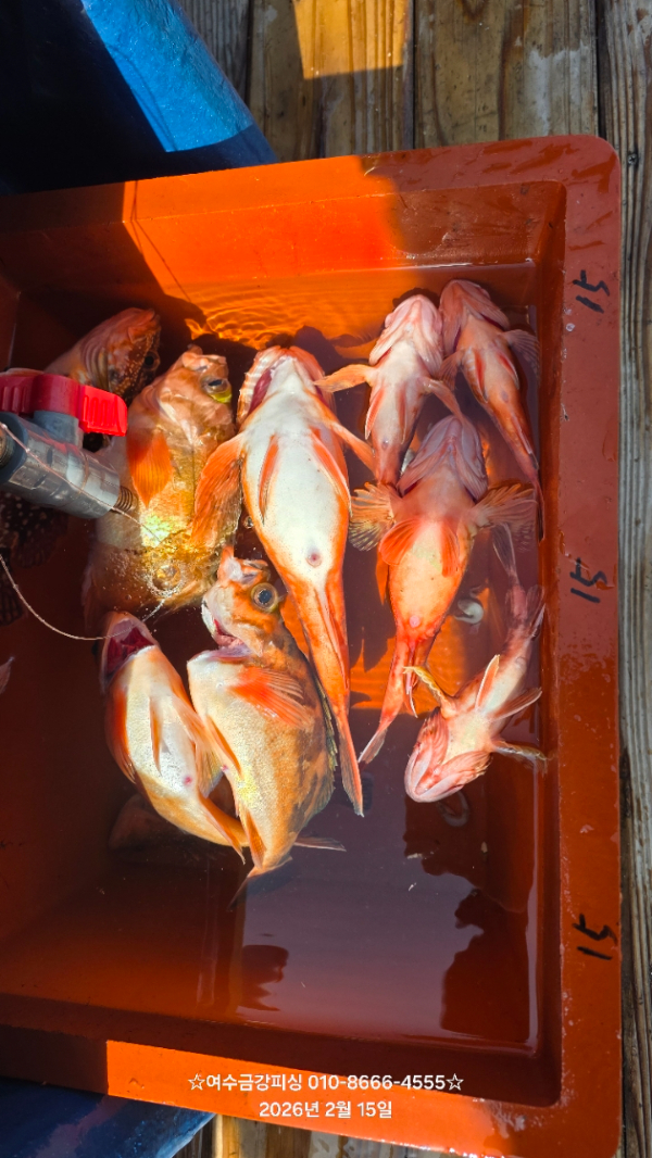 여수금강피싱_사진_20260309_4.jpg