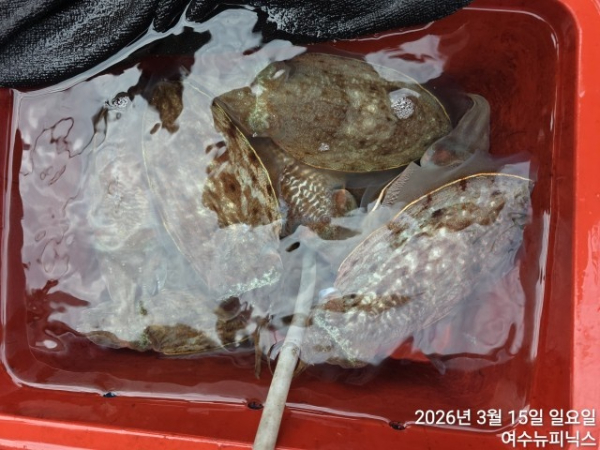 3월15일심해갑 (6).jpg