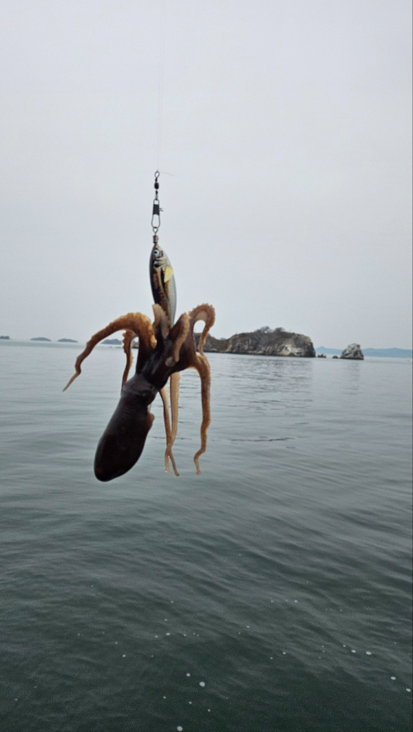 오천항 가즈아호_사진_20260330_10.jpg