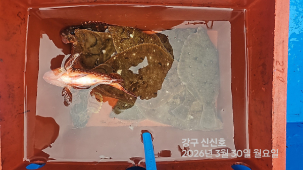신신낚시 강구점 신신호_사진_20260330_10.jpg