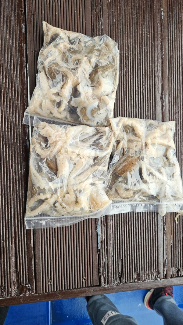 오천항 가즈아호_사진_20260330_17.jpg