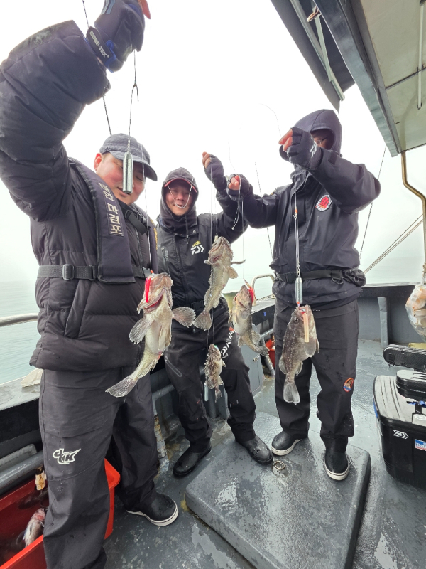 ꫛꫀꪝ✧‧˚ 태안 마검포 新출항호 .• _˚☀₊_사진_20260314_7.jpg