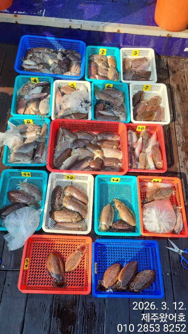 제주왔어호_사진_20260314_1.jpg